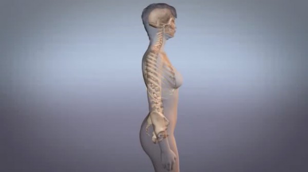 Osteopatia_in_gravidanza_un_aiuto_in_un_corpo_che_cambia_012_spine_center.jpg