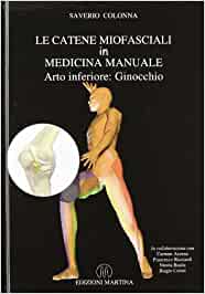 Colonna ginocchio
