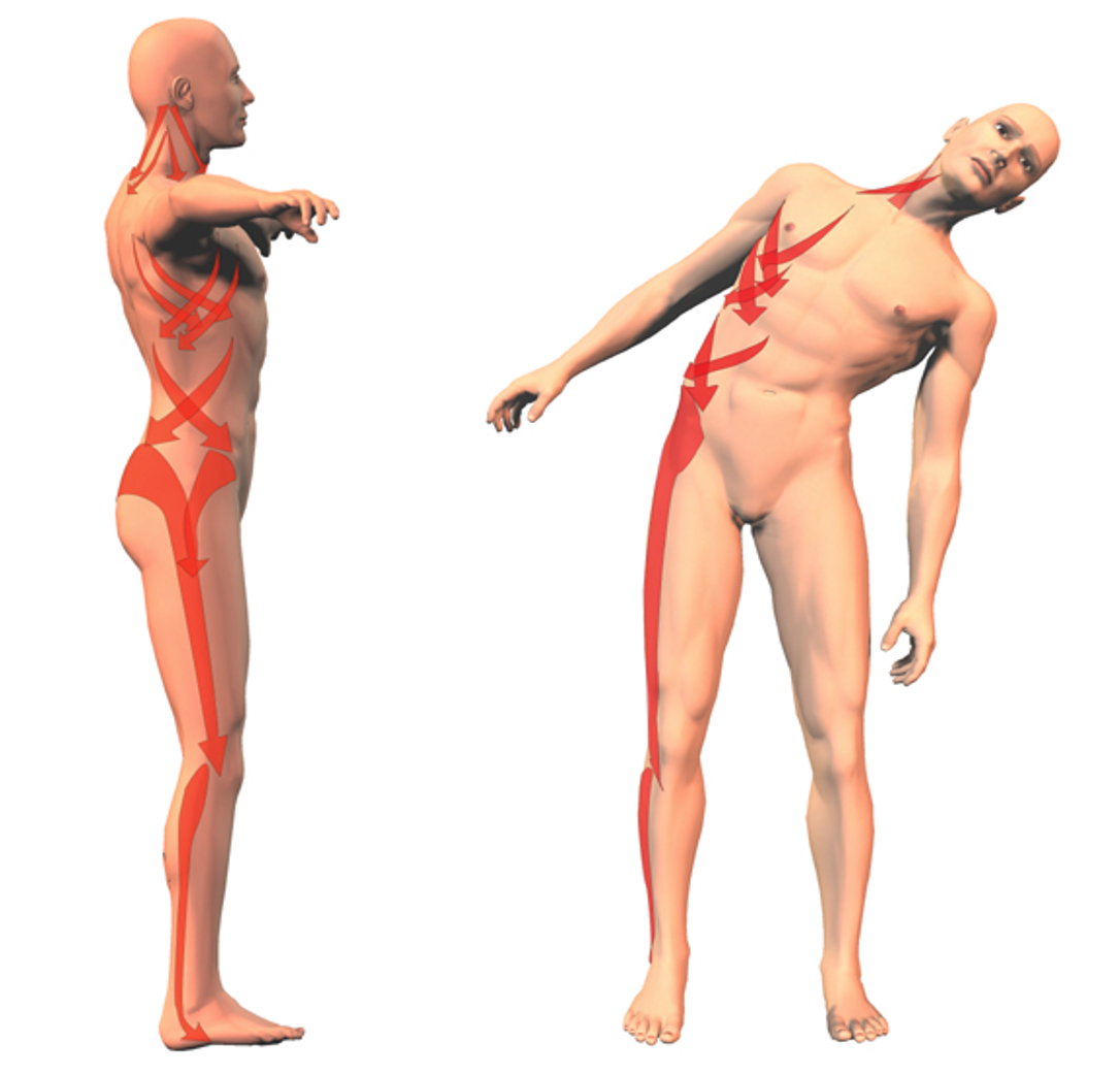 fig 11