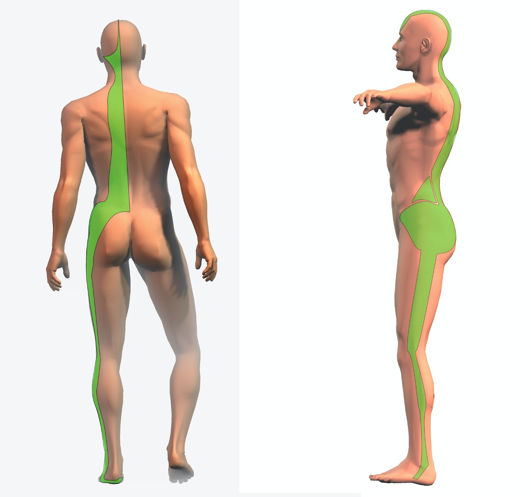 fig 6 articolo colonna catene