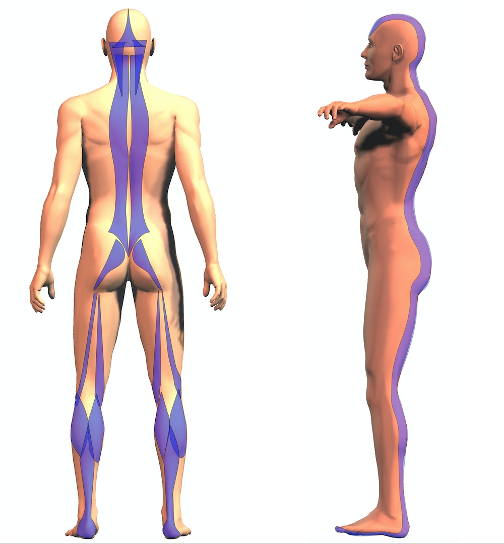 fig 8 articolo colonna catene