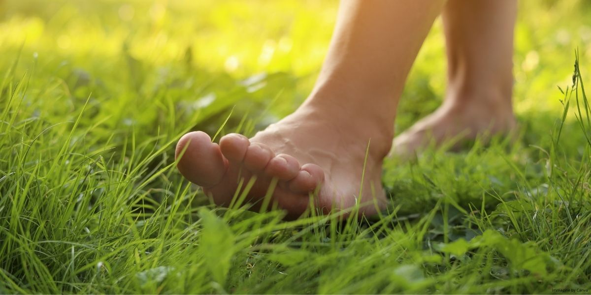 Primo piano di piedi nudi che camminano sull’erba illuminata dalla luce naturale del sole, in un contesto rilassante e legato al benessere e al movimento quotidiano.