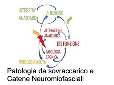 catene e patologia da sovraccarico