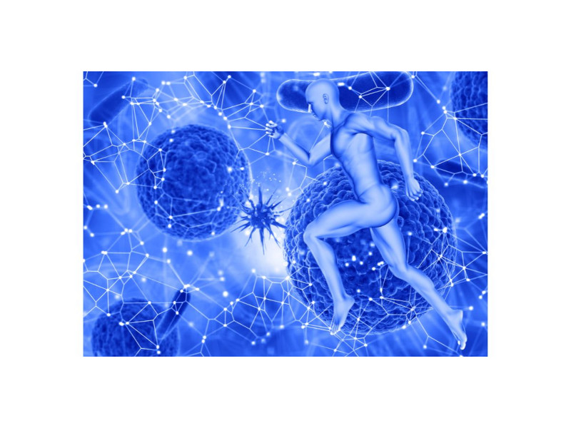 L’IMPORTANZA DEI SISTEMI AFFERENTI NELLA NEUROFISIOLOGIA DEL MOVIMENTO