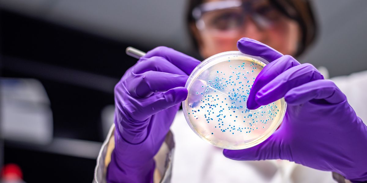 Trapianto di cellule staminali e PRP 