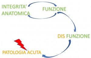 Patologia muscolo tendinea va rivisitata Anatomia Importanza delle catene miofasciali 003 spine center
