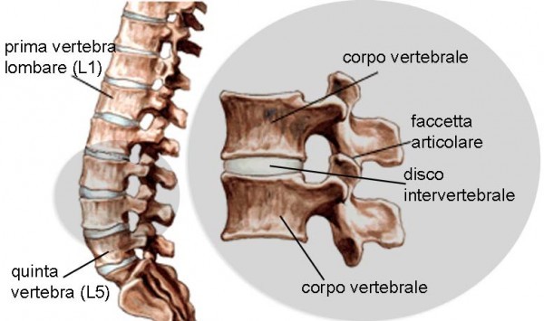 Mal di schiena consigli utili per i non addetti ai lavori 002 spine center