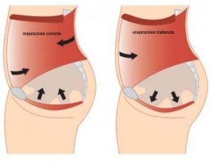 Riabilitazione Pavimento Pelvico 003 spine center