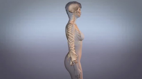 Osteopatia in gravidanza un aiuto in un corpo che cambia 012 spine center