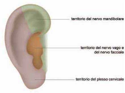 Dolore cervicale spunti di auto trattamento 005 spine center