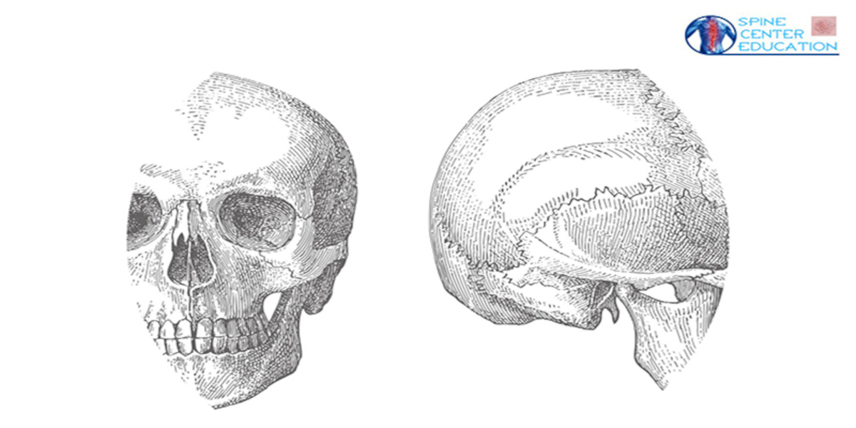 Interpretare la radiologia dal punto di vista della terapia manuale/osteopatia 