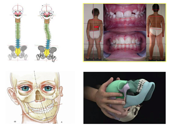 Introduzione allOsteopatia Odontoiatrica 001 spine center
