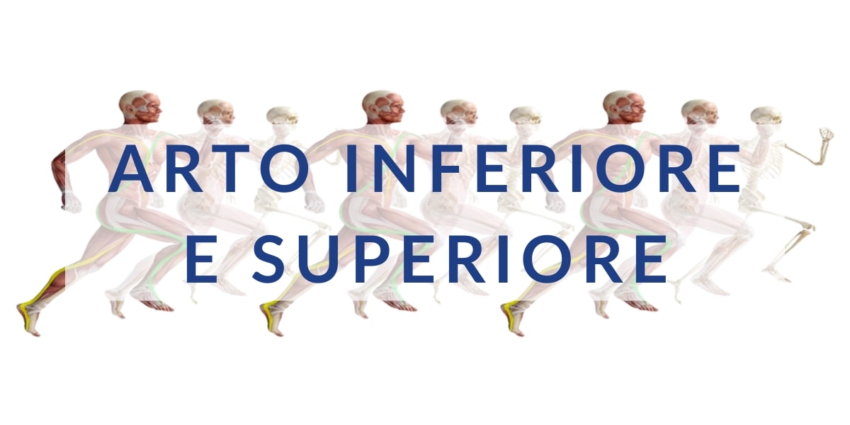 APPROCCIO ALLA PATOLOGIA OSTEO-MUSCOLARE TRAMITE LE CATENE NEURO-MIO-FASCIALI