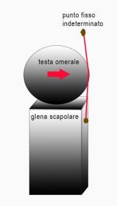 Rieducazione della spalla forse è il momento di rivedere cosa viene fatto 002 spine center