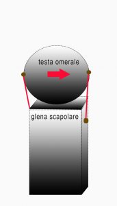 Rieducazione della spalla forse è il momento di rivedere cosa viene fatto 003 spine center