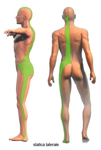 Catene Miofasciali e Postura 003 spine center