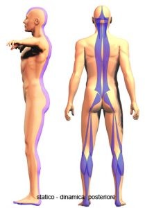 Legamento Sacro Tuberoso considerazioni anatomo cliniche 008 spine center