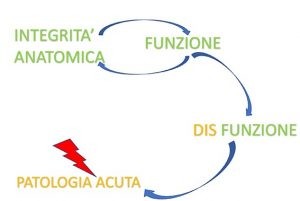 Patologia da sovraccarico e catene neuromiofasciali 003 spine center