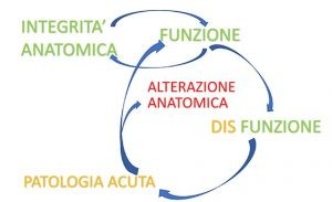 Patologia da sovraccarico e catene neuromiofasciali 005 spine center