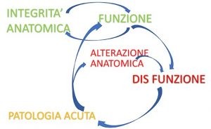 Patologia da sovraccarico e catene neuromiofasciali 006 spine center