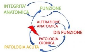 Patologia da sovraccarico e catene neuromiofasciali 007 spine center
