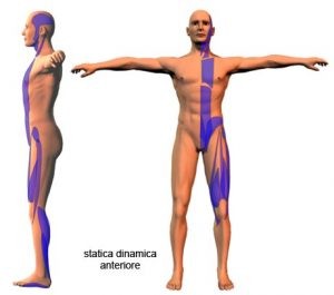 Patologia da sovraccarico e catene neuromiofasciali 010 spine center