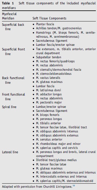Le catene miofasciali revisioni della letteratura e considerazioni teorico pratiche 005 spine center