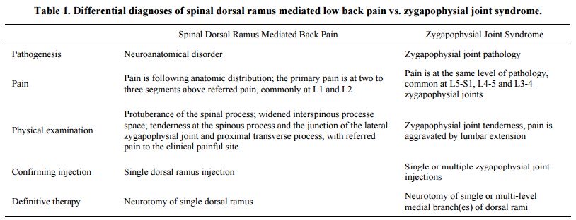 La Sindrome Del Ramo Dorsale nel mal di schiena Cosa sappiamo 005 spine center
