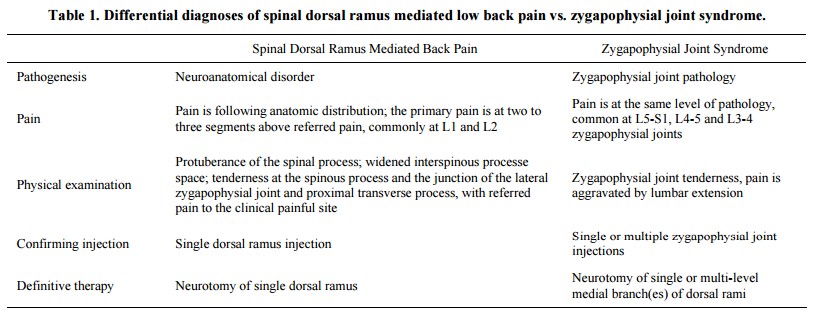 La Sindrome Del Ramo Dorsale nel mal di schiena Cosa sappiamo 005 spine center