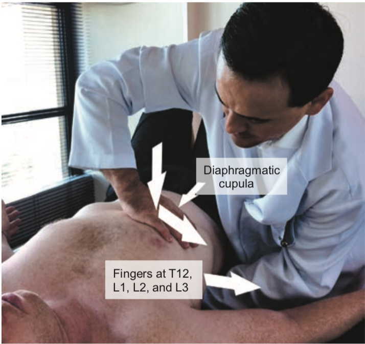 Malattia da reflusso gastro esofageo e terapia manuale 06 spine center