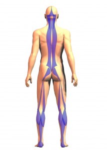 Mal di schiena corretto approccio mediante esercizio terapeutico 004 spine center