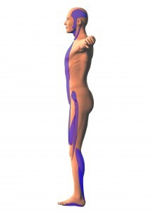 Mal di schiena corretto approccio mediante esercizio terapeutico 006 spine center