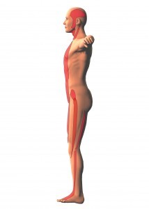 Mal di schiena corretto approccio mediante esercizio terapeutico 007 spine center