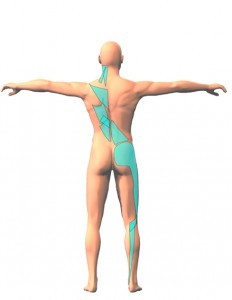 Mal di schiena corretto approccio mediante esercizio terapeutico 008spine center