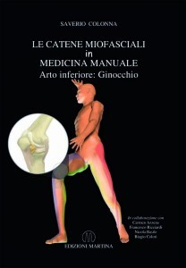 Dolore al ginocchio muscolo articolare del ginocchio e plica sinoviale 003 spine center
