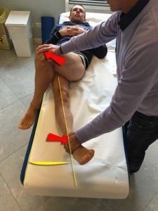 Pubalgia e Catene Miofasciali progetto di ricerca 003 spine center