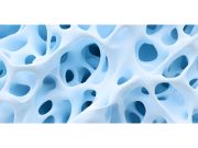 Rappresentazione tridimensionale della struttura spugnosa dell’osso vista al microscopio.