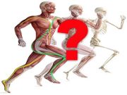 Catene Neuro-Mio-Fasciali: i dubbi di Andrea