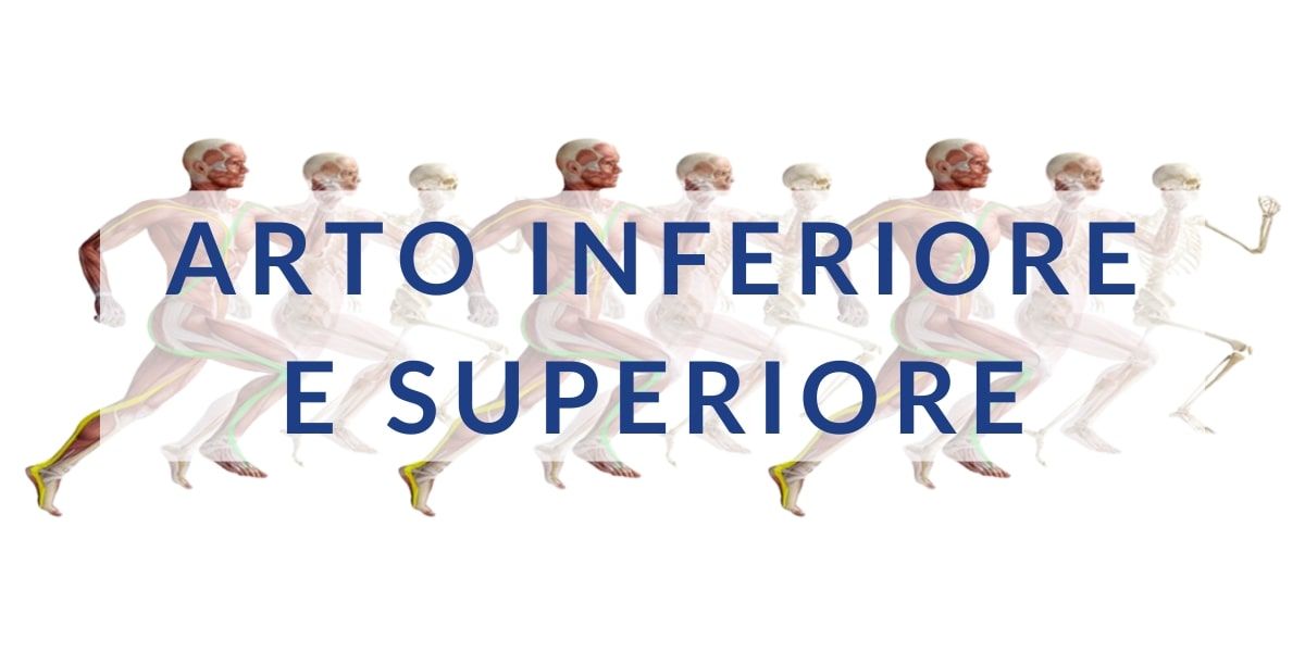 APPROCCIO ALLA PATOLOGIA OSTEO-MUSCOLARE TRAMITE LE CATENE NEURO-MIO-FASCIALI